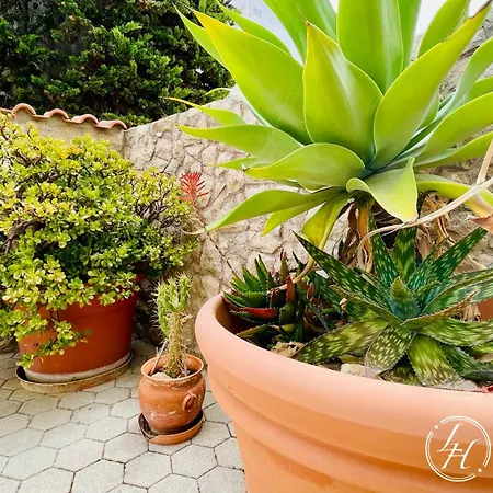 Apartamento Casa Brava - Friendly - Big Terrace - 200m *